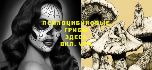 прущие крисы Бородино