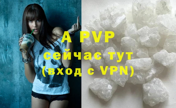 прущие крисы Бородино