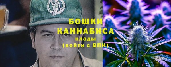 прущие крисы Бородино